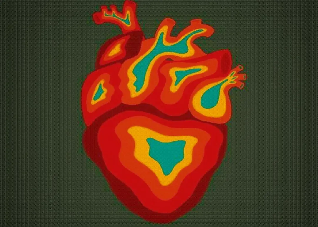 The Heart Has Its Own “Mini-Brain” of Nerves (Image Credits: Unsplash)