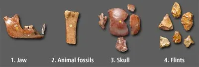 #1 - The Composite Fossil Playbook That Refuses to Die (judy_breck, Flickr, CC BY-SA 2.0)