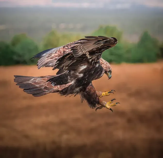 Scorpio: The Intensity of the Scorpion and the Eagle (Image Credits: Pexels)
