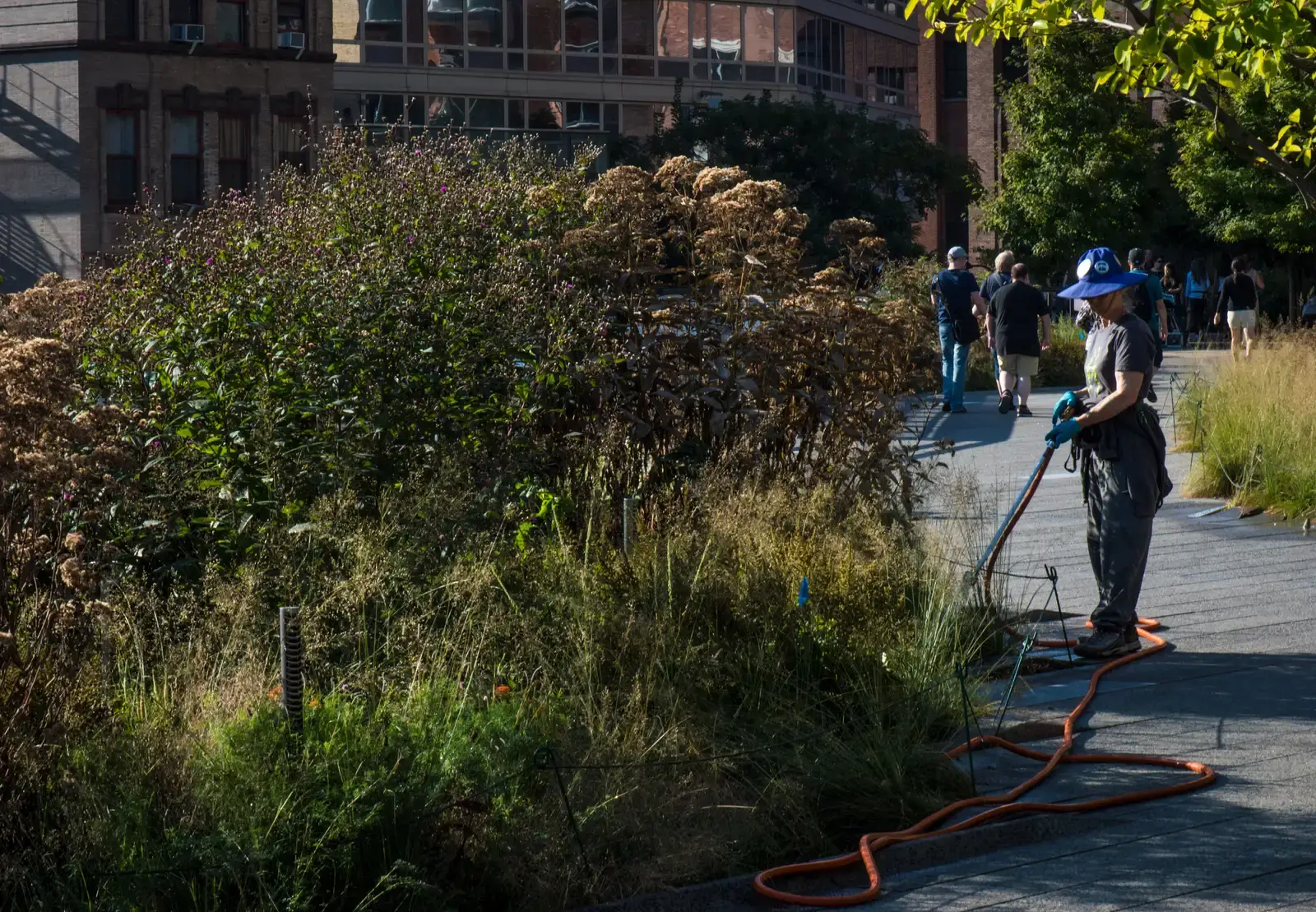 Everyday Encounters: New Life in Familiar Places (Image Credits: Wikimedia)