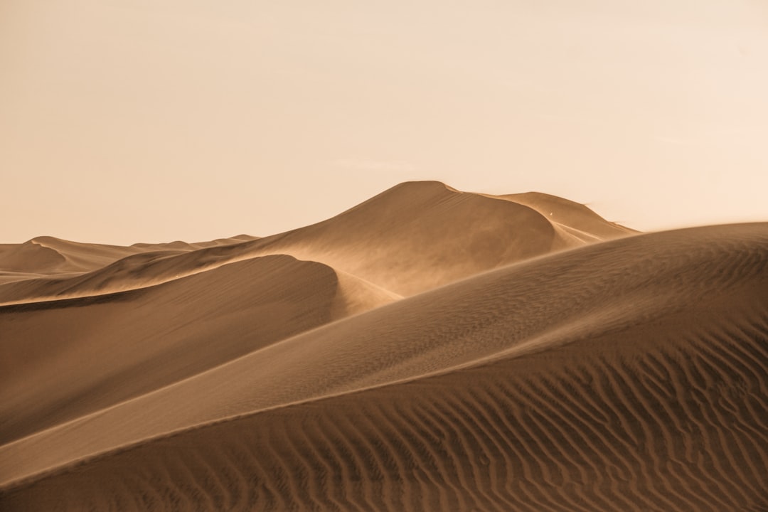 Conclusion: The Ongoing Mystery of Desert Music (Image Credits: Unsplash)