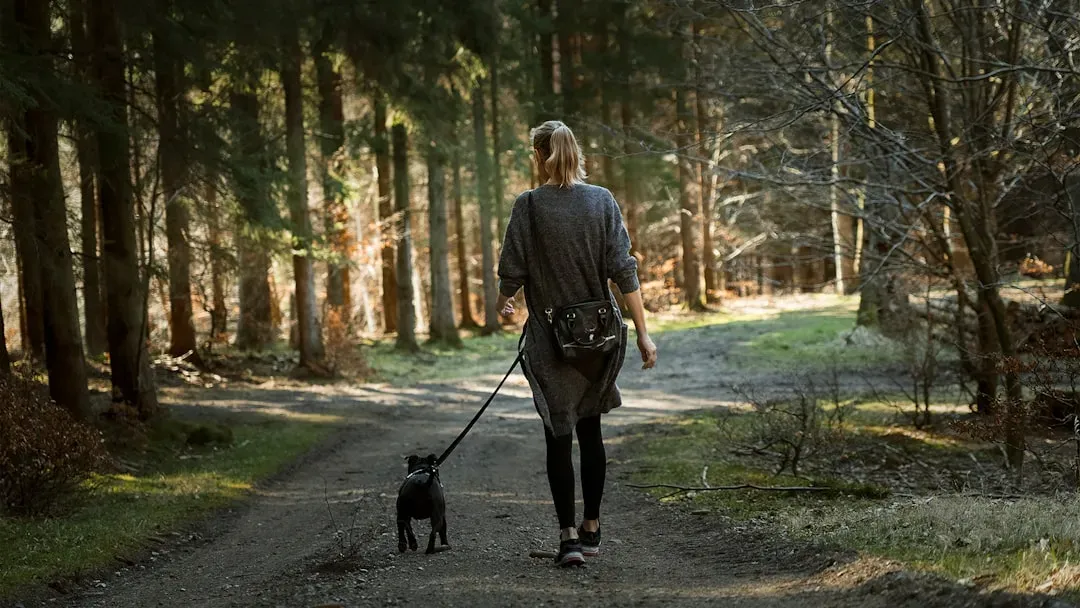 The Power of Routine: Walks, Caregiving, and Predictable Reward (Image Credits: Unsplash)