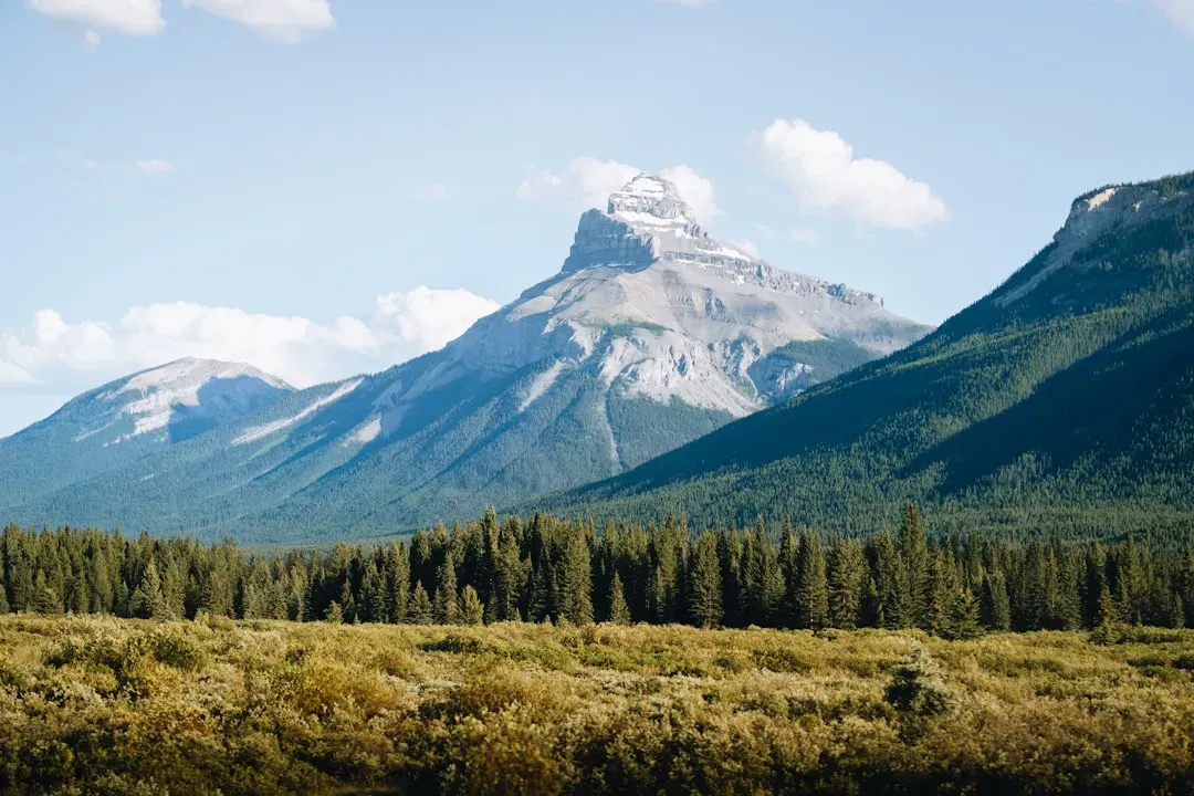 Where Forest Meets Tundra: The Blurring Edge of a Continent (Image Credits: Unsplash)