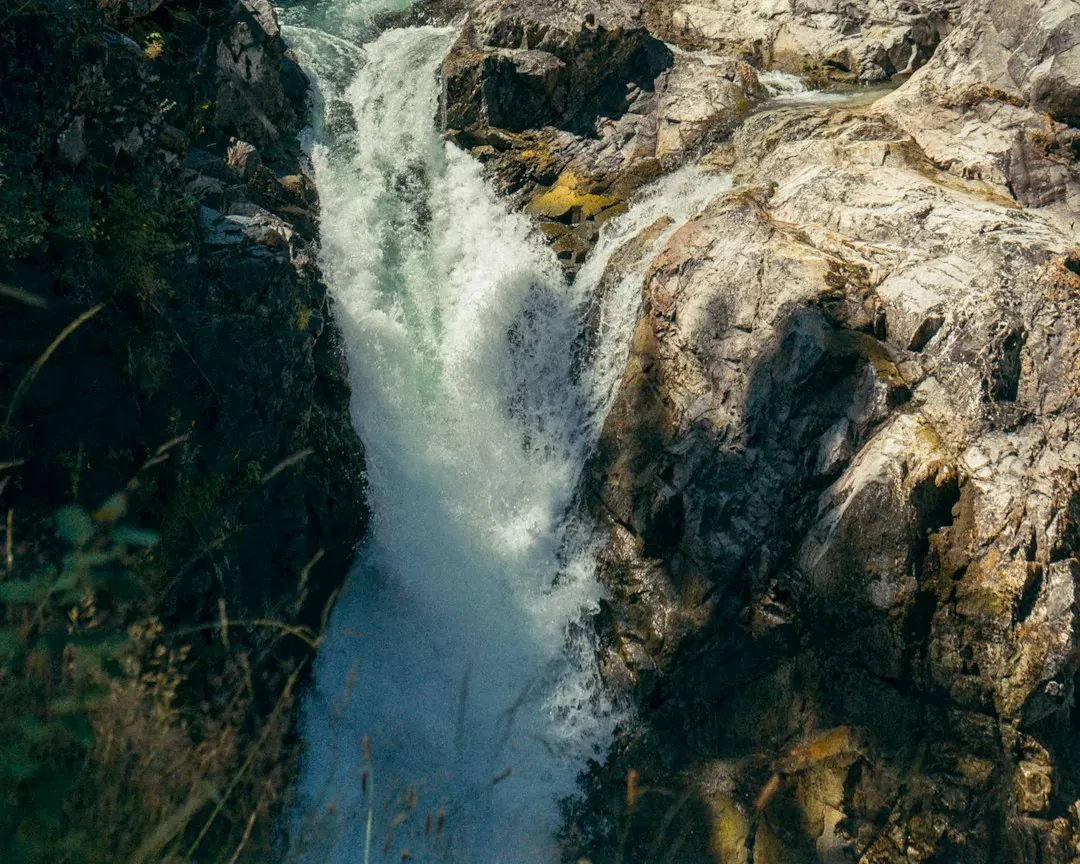The Devil’s Kettle: A River That Vanishes Into Rock (Image Credits: Unsplash)