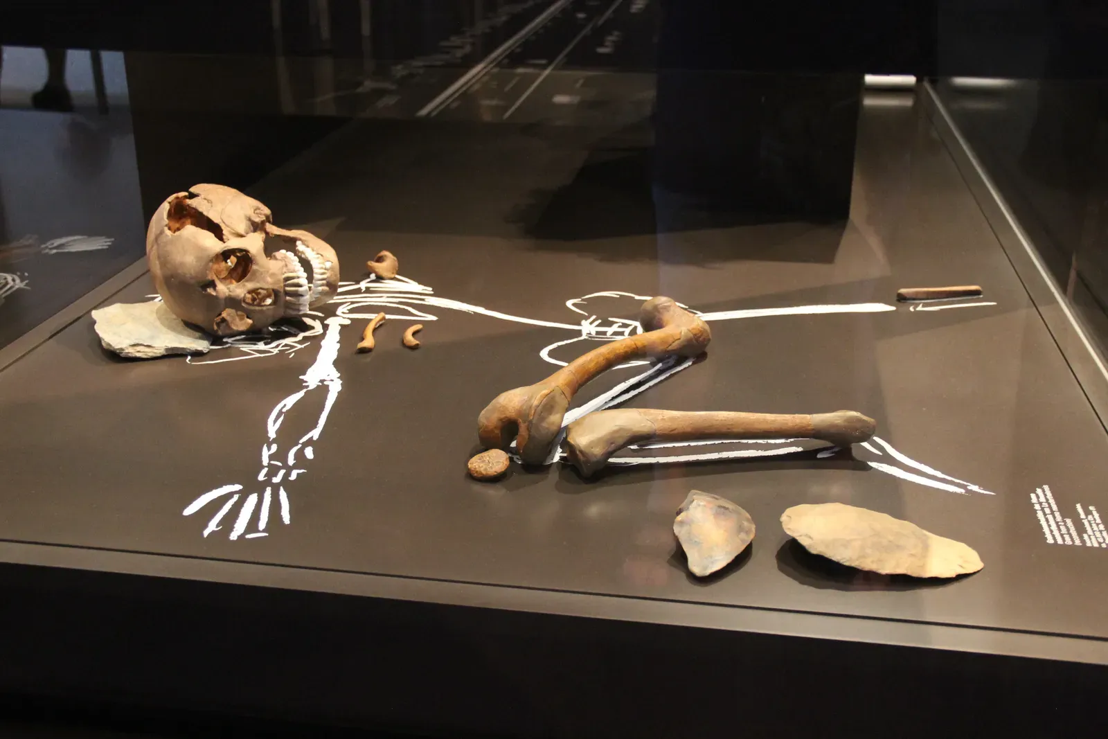 The Sunghir Burial: Children, Mammoth Ivory, and the Dawn of Inequality (Image Credits: Wikimedia)