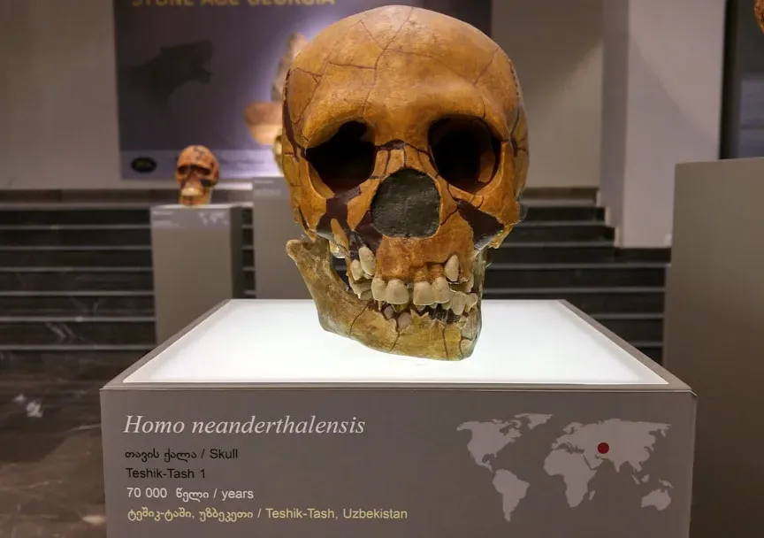 A Discovery That Changes the Timeline (Image Credits: Unsplash)