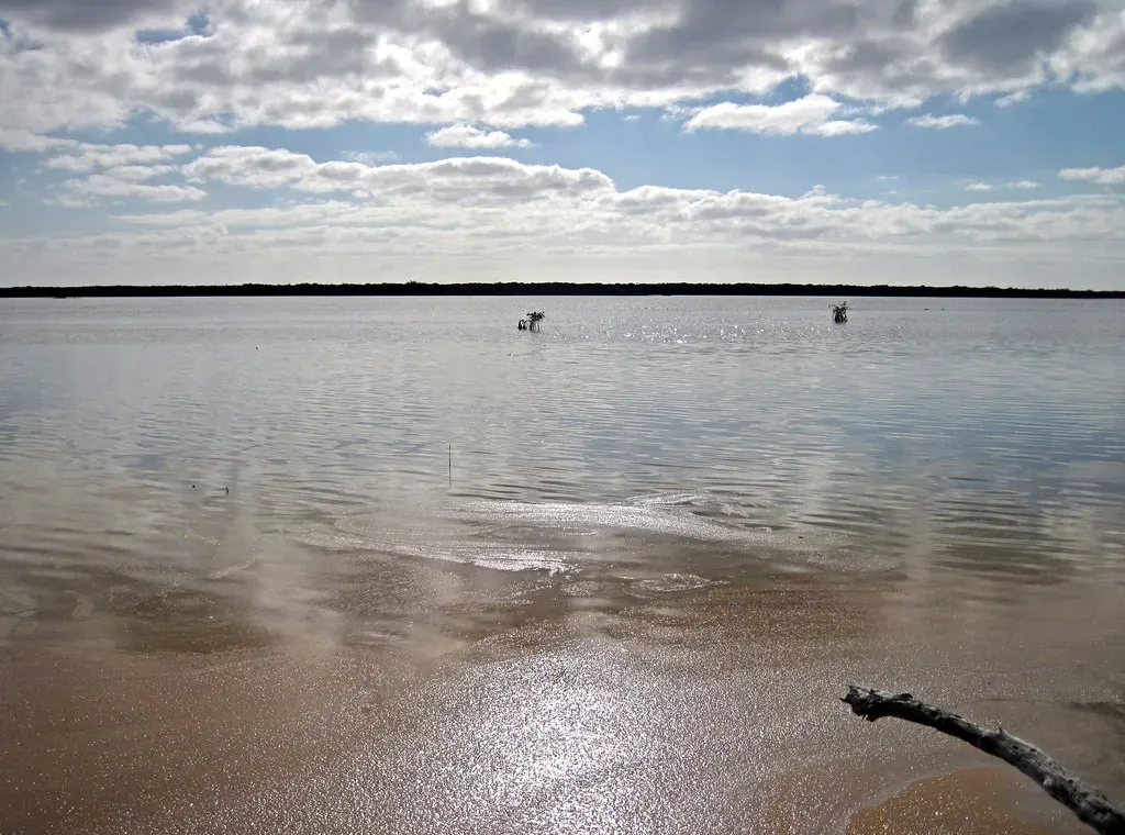 Ocean Sediments Hold the Proof (Image Credits: Flickr)