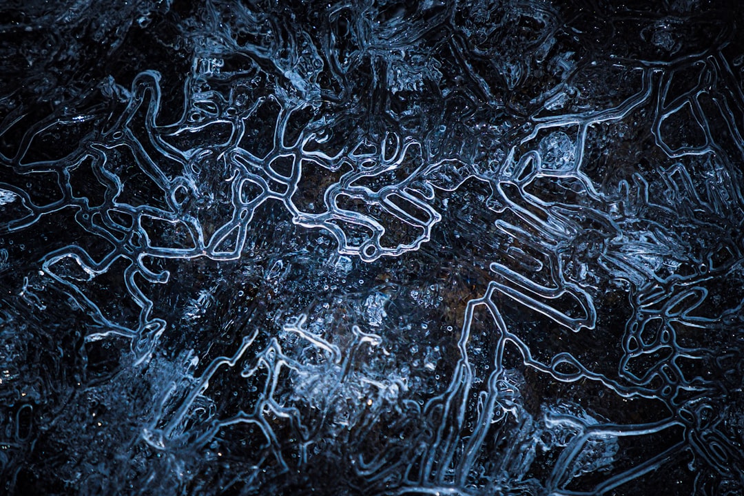 Frozen Museums of Earth's History (Image Credits: Unsplash)