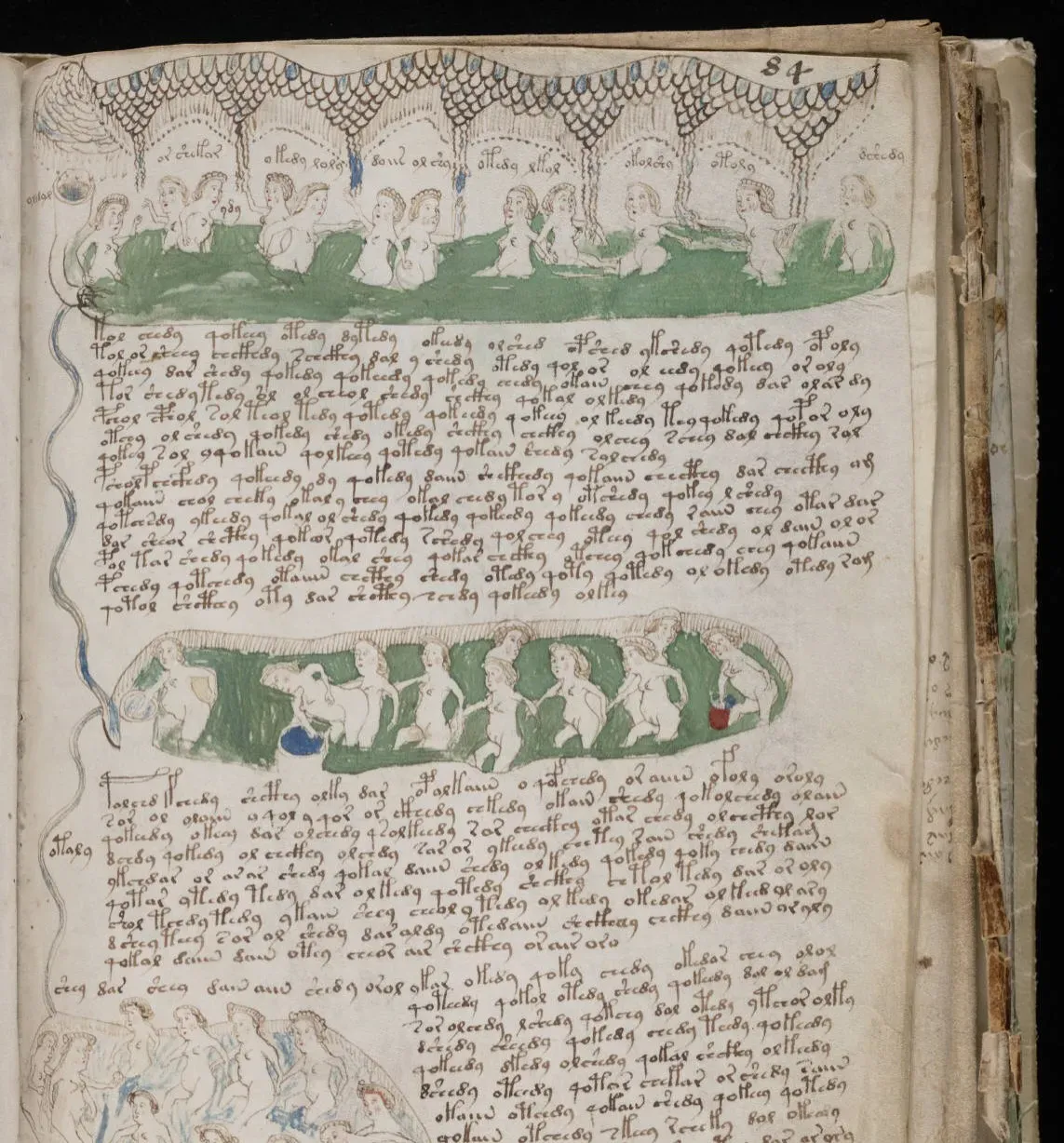 #1 - The Voynich Manuscript: The Script Everyone Is Tired Of (Image Credits: Wikimedia)