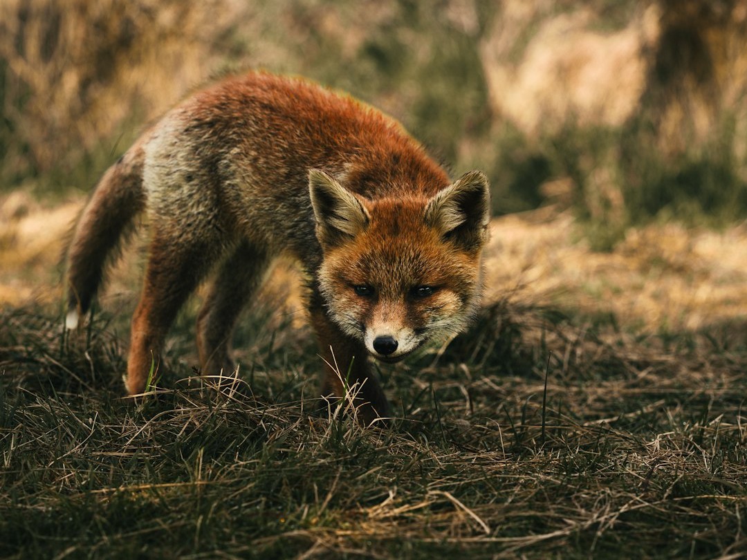 Field Notes From the Edge (Image Credits: Unsplash)