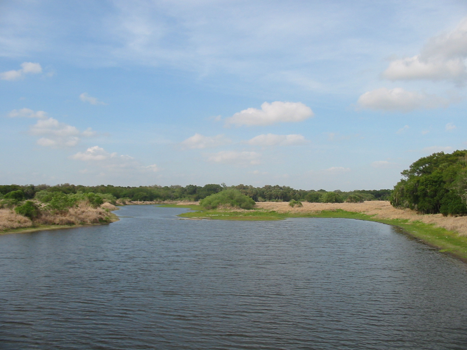 Myakka River State Park (Image Credits: Wikimedia)