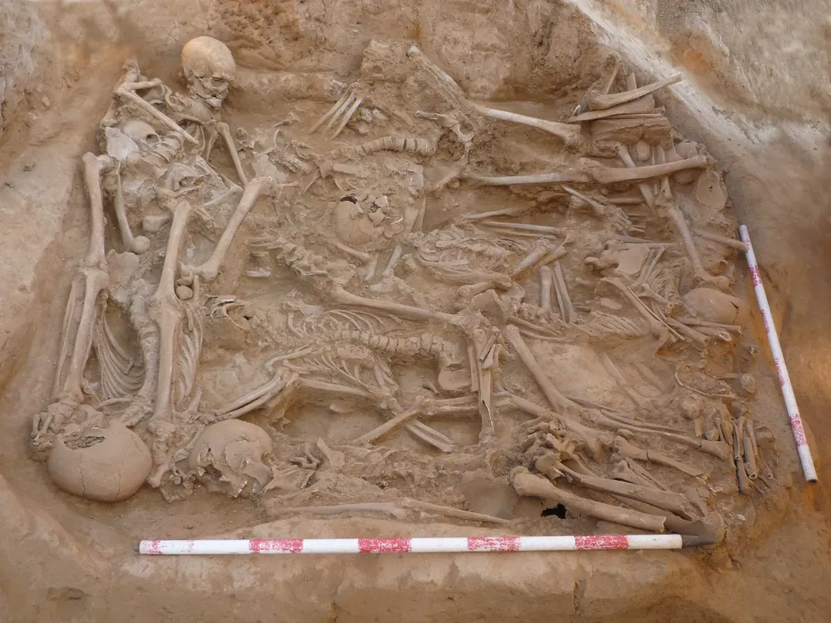 14. Remains From Sites Of Recent Atrocity Kept In Storage (Servei d'Arqueologia de Barcelona (ICUB), CC BY-SA 3.0)