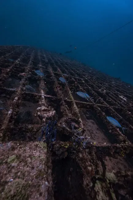 #2 - The "Street Grid" Beneath a Mediterranean Resort (Image Credits: Pexels)