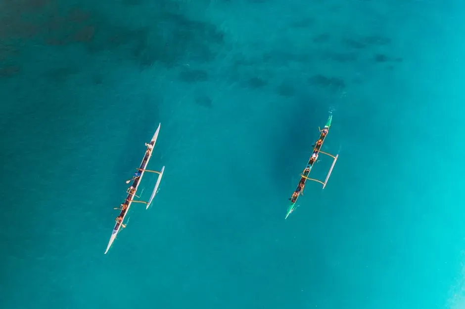 #9 - Polynesian Navigators Read the Ocean Like an Instrument Panel (Image Credits: Pexels)