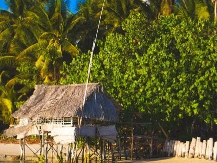 Stones, Maneaba, and the Architecture of Community (Image Credits: Pexels)