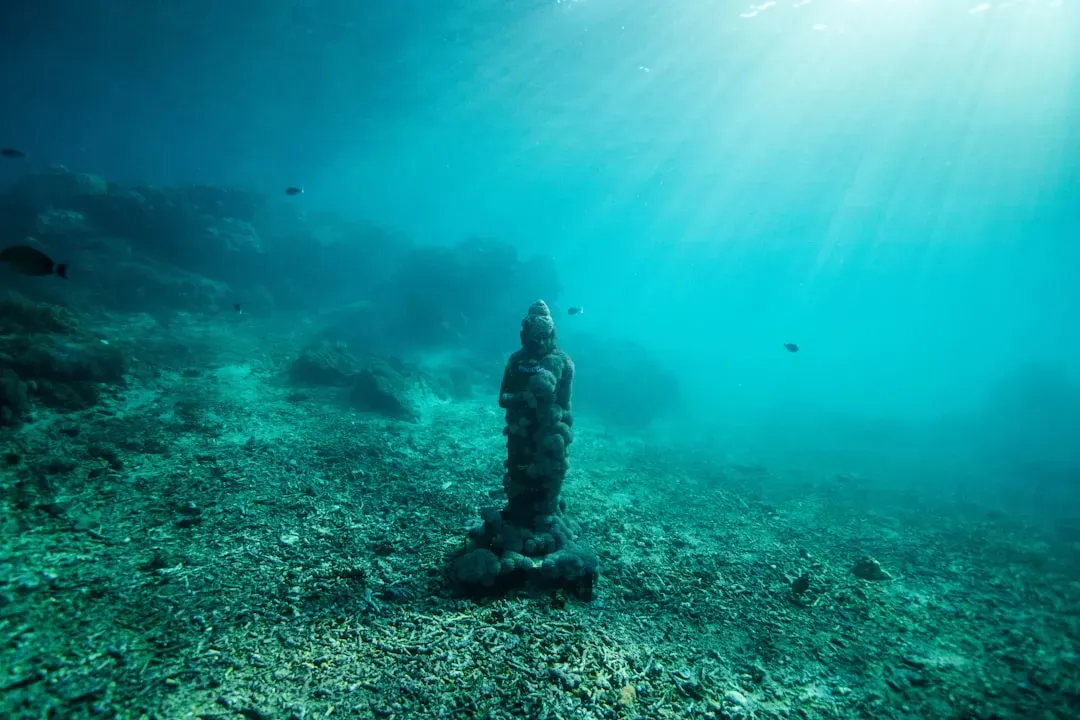 12. Ancient Bones and Artifacts Preserved in the Deep (Image Credits: Unsplash)