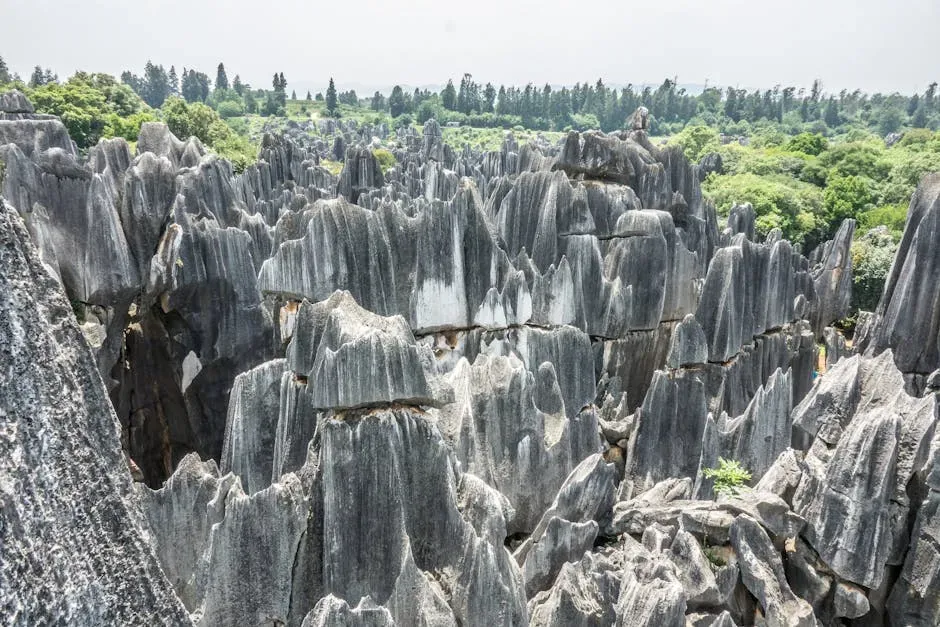 The Stone Forest of Shilin (China) (Image Credits: Pexels)