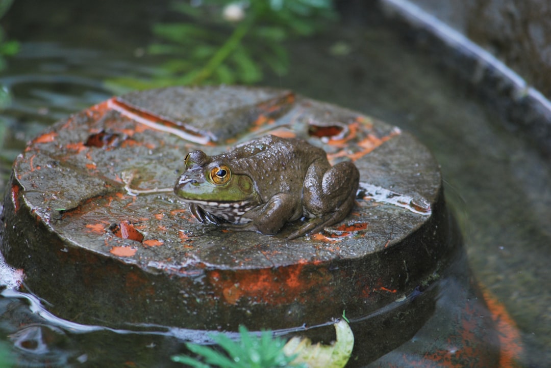The Hidden Clues (Image Credits: Unsplash)