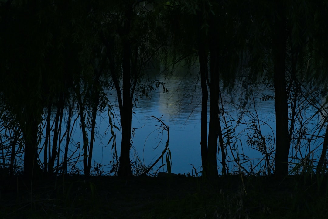 Stephen C. Foster State Park, Georgia (Image Credits: Unsplash)