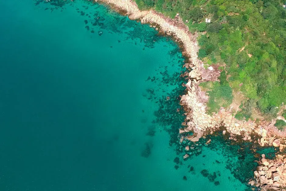 What We Can Still Protect: Restoring Space for Nature (Image Credits: Pexels)