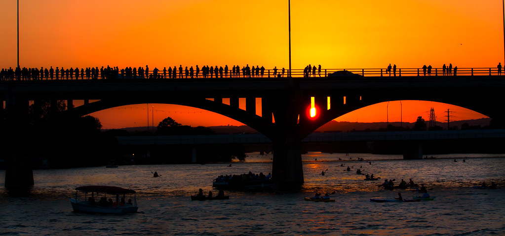 Bridge Architecture as Habitat (Image Credits: Flickr)
