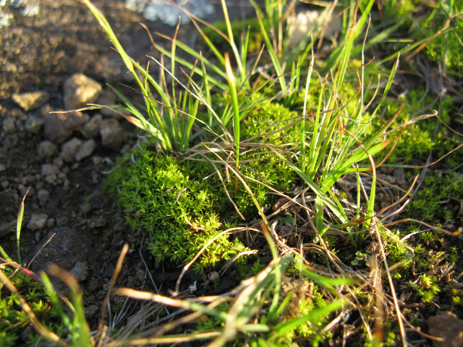 Why These Strange Strategies Matter More Than Ever (Image Credits: Wikimedia)