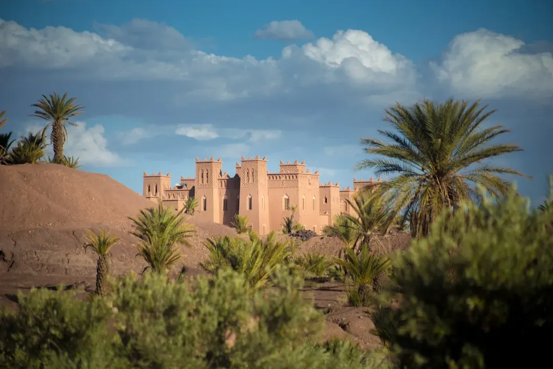 People of the Green Sahara: Lakes, Cattle, and Sudden Collapse (Image Credits: Unsplash)