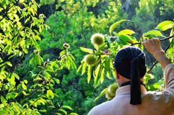 The Mental Health Lifeline We Keep Overlooking (Image Credits: Wikimedia)