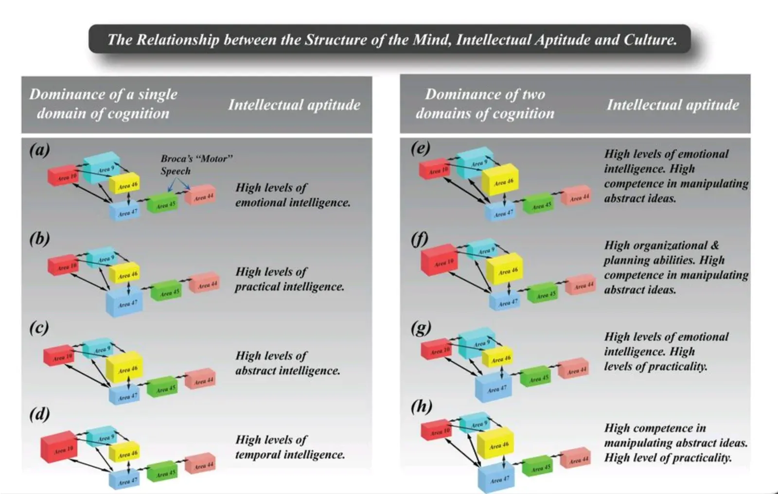 From Ancient Speculation to High‑Tech Tests (Image Credits: Wikimedia)