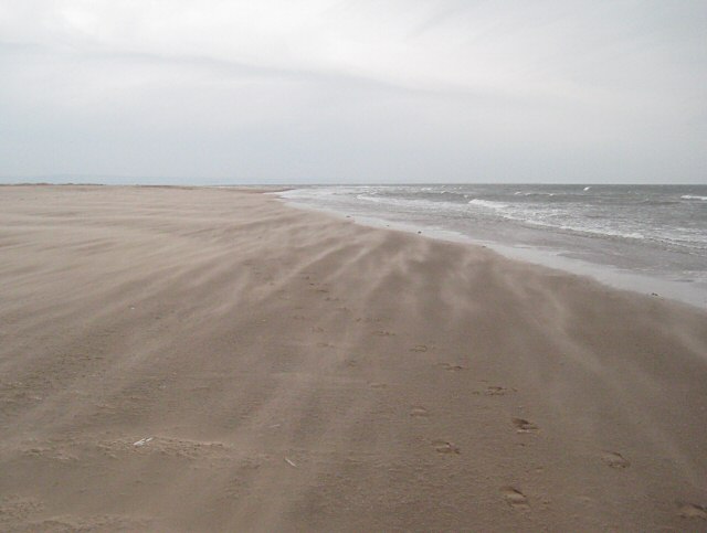 Why It Matters (Image Credits: Wikimedia)