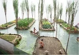 Floating Gardens and Urban Hydrology: Aztec Chinampas in Lake Texcoco (Image Credits: Wikimedia)