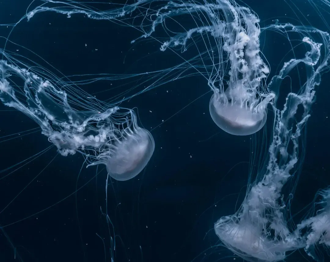 7. Its “Immortality” Is Amazing – But Not a Magic Key for Humans (Image Credits: Unsplash)