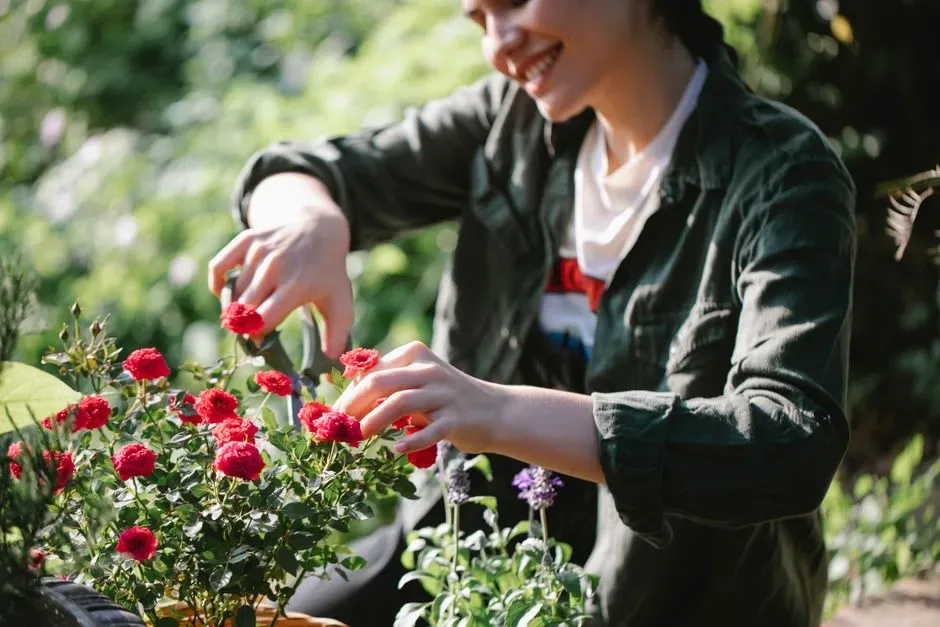 #2 - Deadhead Spent Blooms for More Flowers (Image Credits: Pexels)