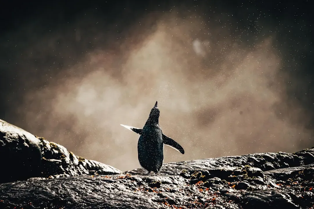 5. Vibrations and Ground “Whispers”: Messages You Can’t Hear (Image Credits: Unsplash)