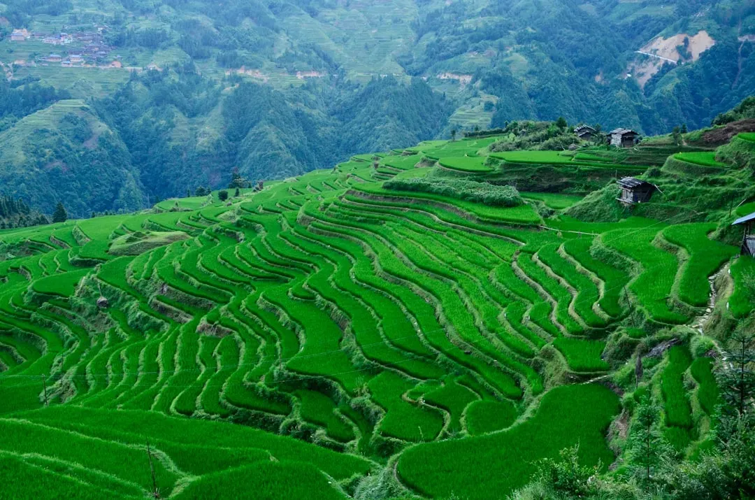 The Andenes: Turning Mountains Into Farmland (Image Credits: Unsplash)