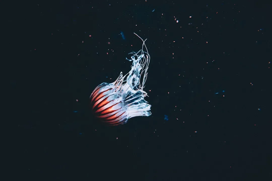 The Hidden Clues: What Deep-Sea Creatures Teach Us About the Brain (Image Credits: Unsplash)