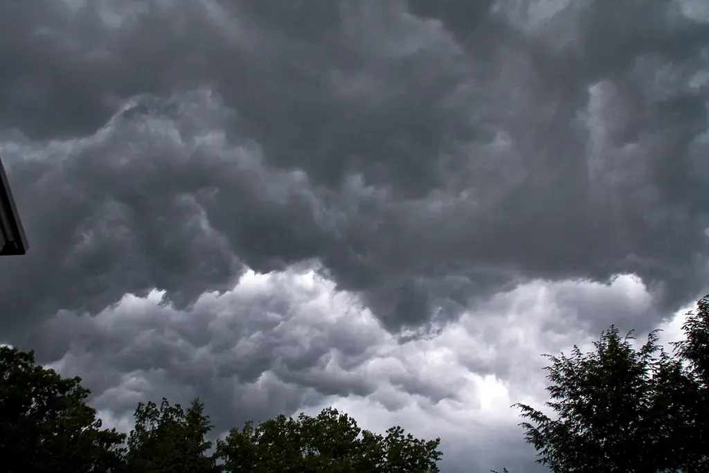 Weather Forecasts: Where the Butterfly Effect Was First Exposed (Muffet, Flickr, CC BY 2.0)