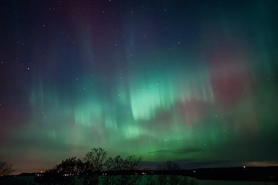 They Come in Colors You Rarely See in Photos (Image Credits: Pexels)