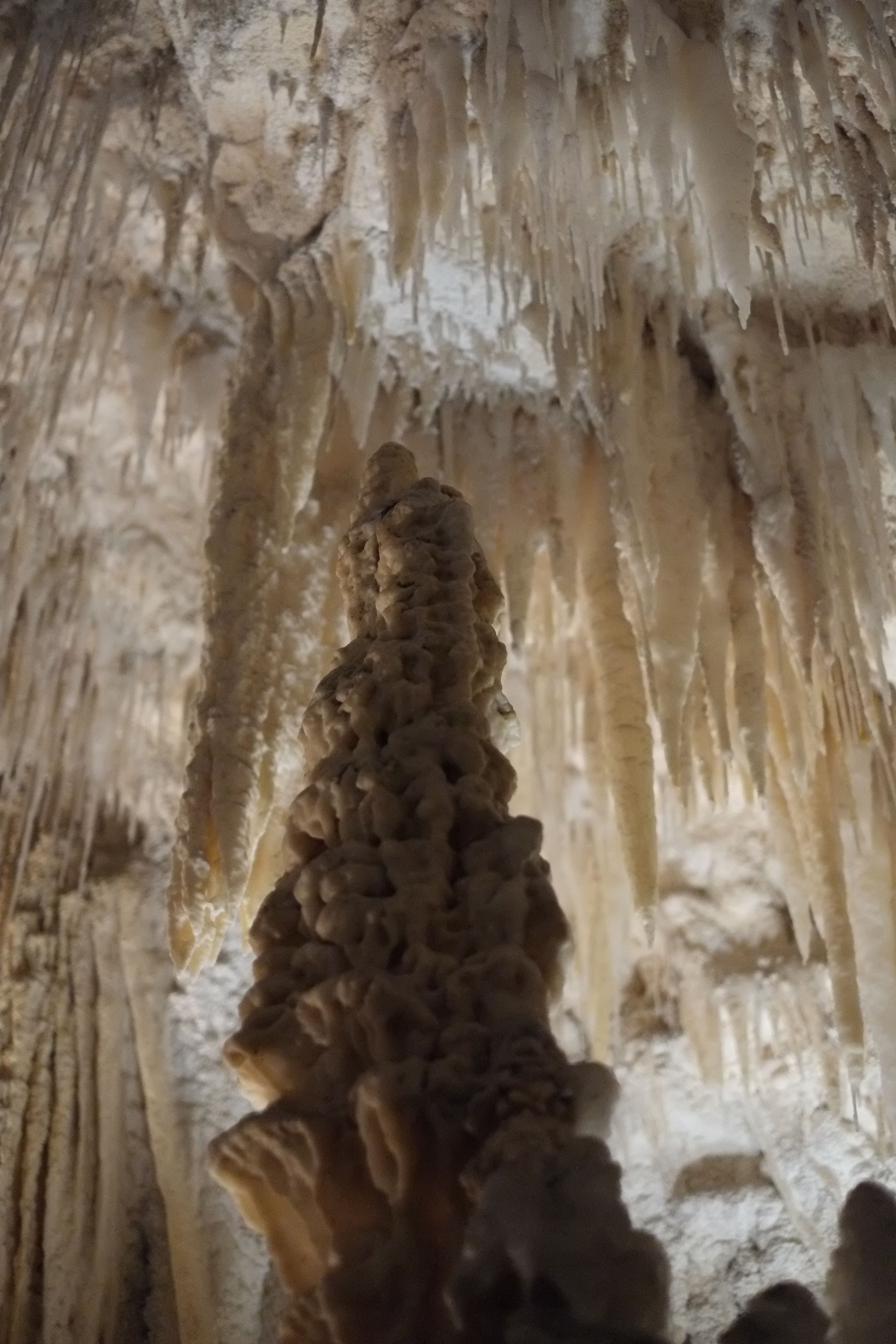 Why It Matters (Image Credits: Wikimedia)