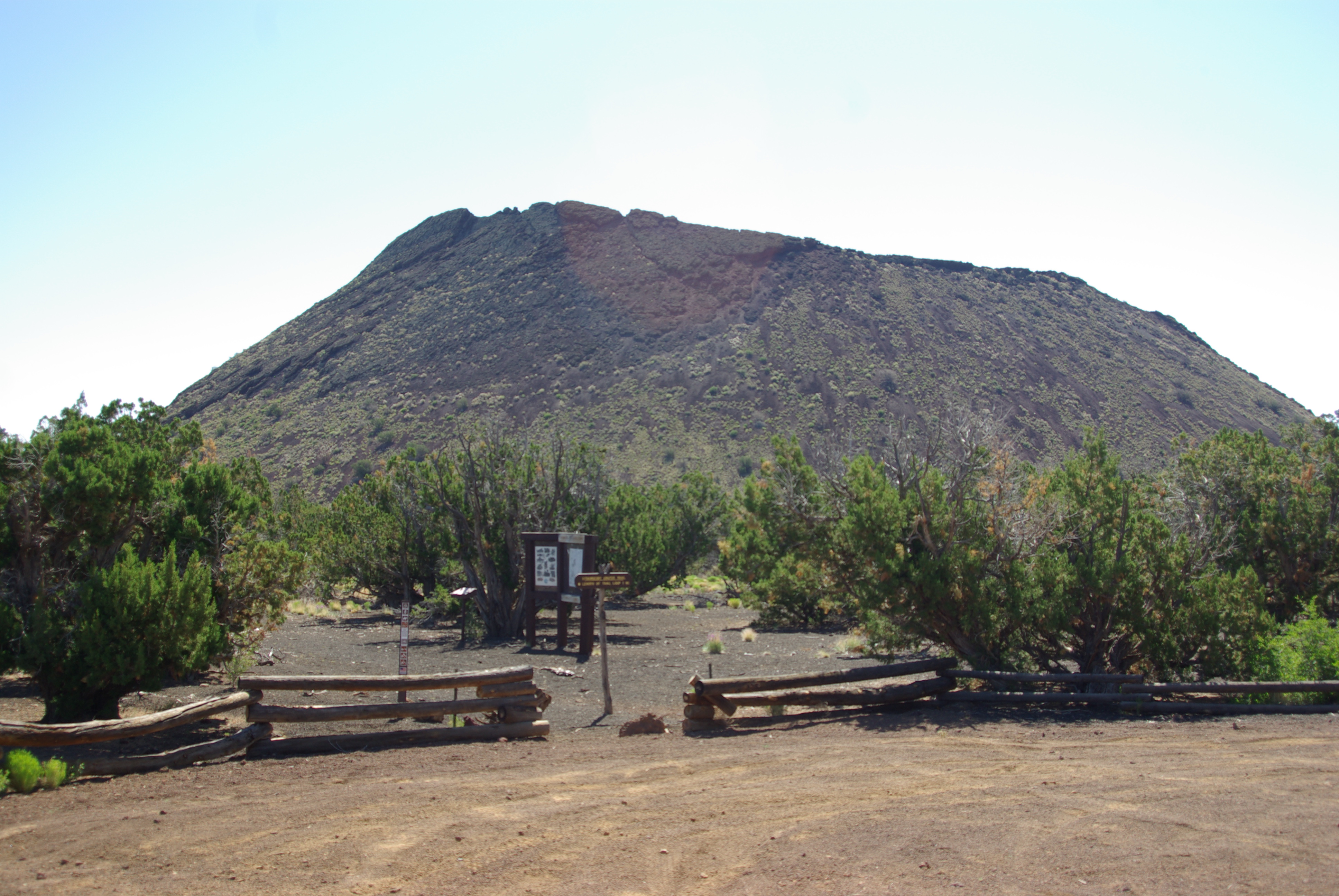 The Springerville Surprise: Arizona's Third Largest Field (Image Credits: Wikimedia)