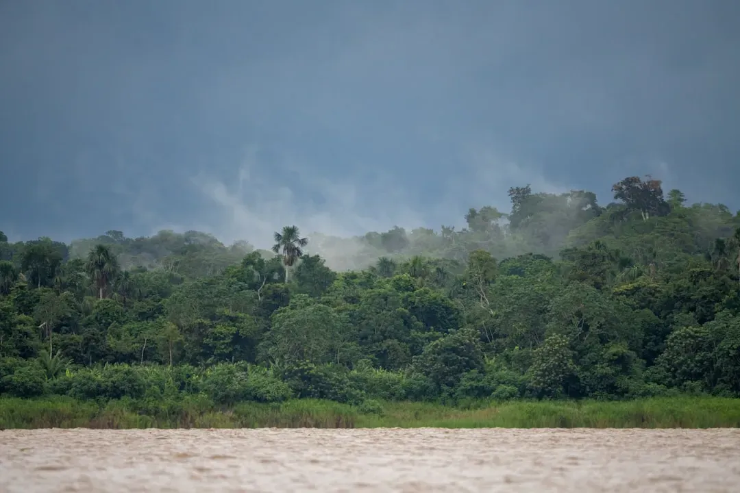 Rain Factories: How the Amazon Makes Its Own Weather (Image Credits: Unsplash)