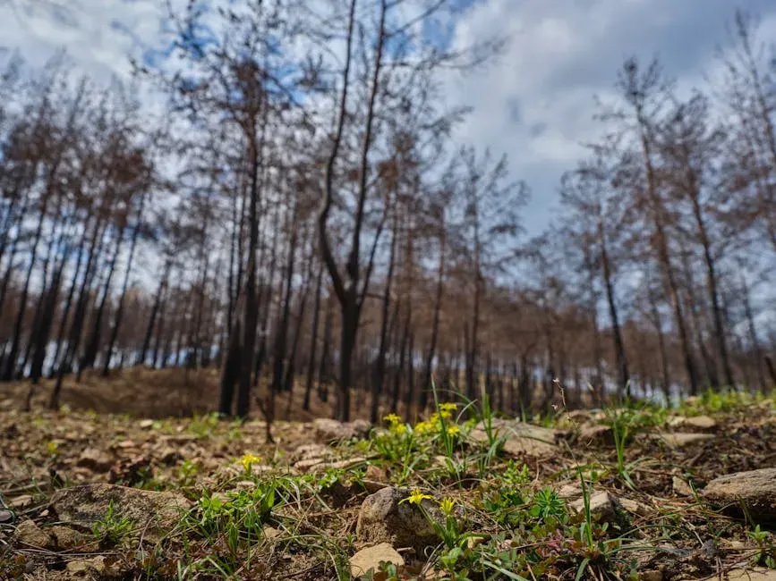 Genetic Diversity That Gives Life A Backup Plan (Image Credits: Pexels)