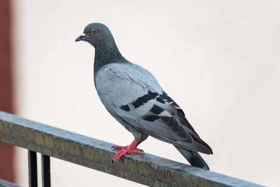 1. Pigeons That Navigate Like Living GPS Units (Image Credits: Pexels)