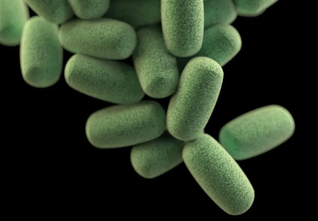 The Microbial Universe Living Inside You (Image Credits: Unsplash)