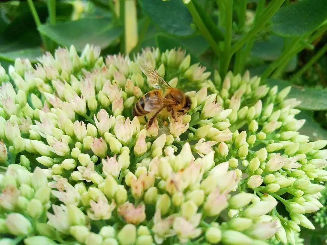 2. They Quietly Stabilize Global Food Prices (Image Credits: Unsplash)