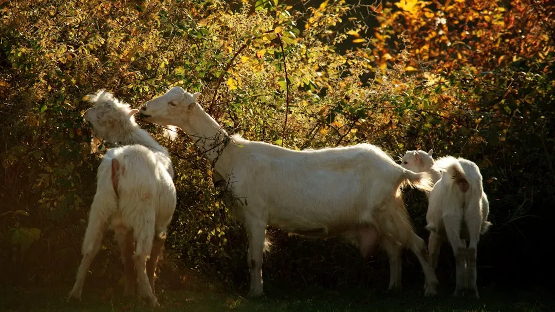 10. They Are Picky Eaters, Not Garbage Monsters (Image Credits: Unsplash)