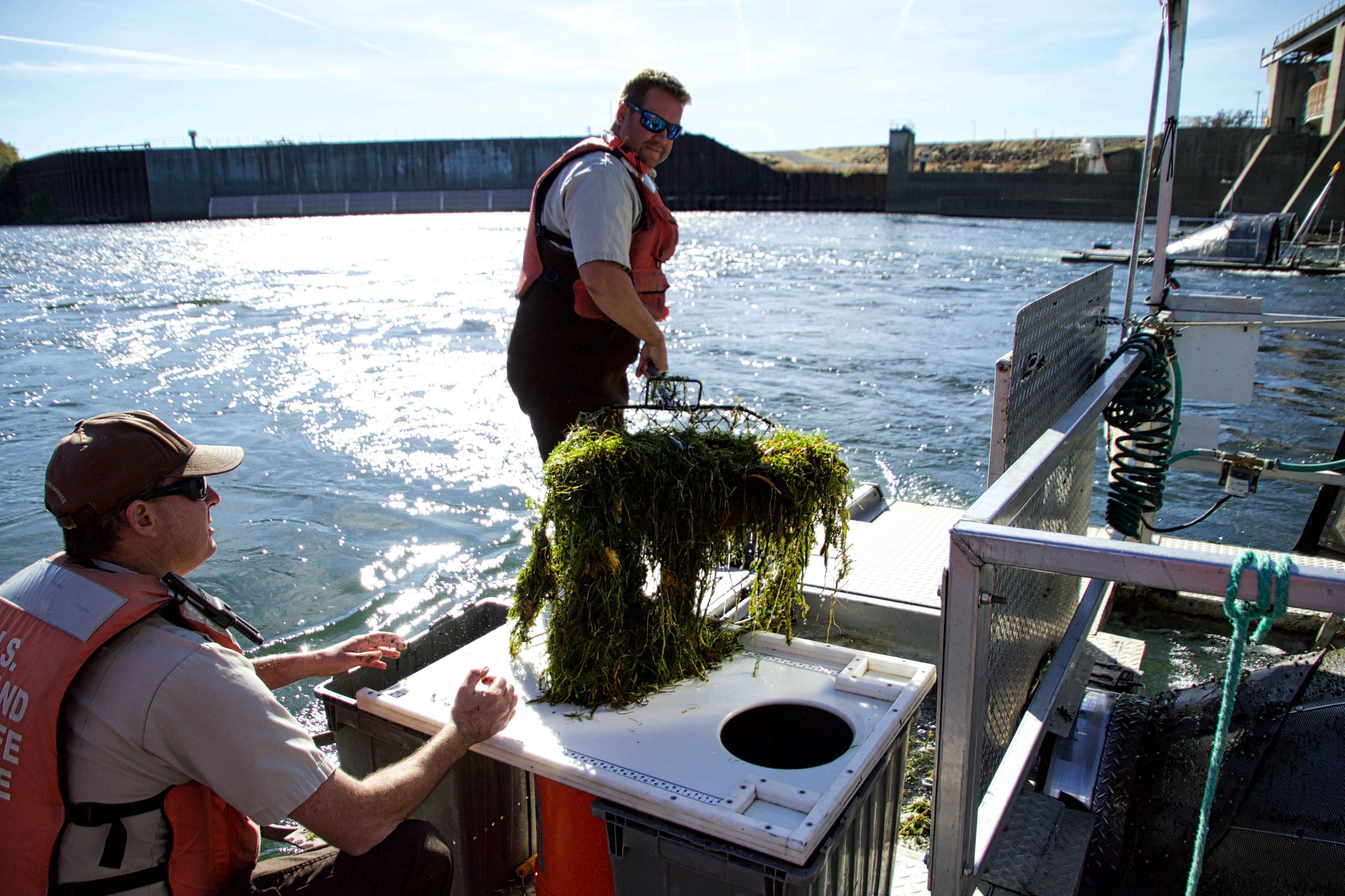 The Hidden Clues (Image Credits: Wikimedia)