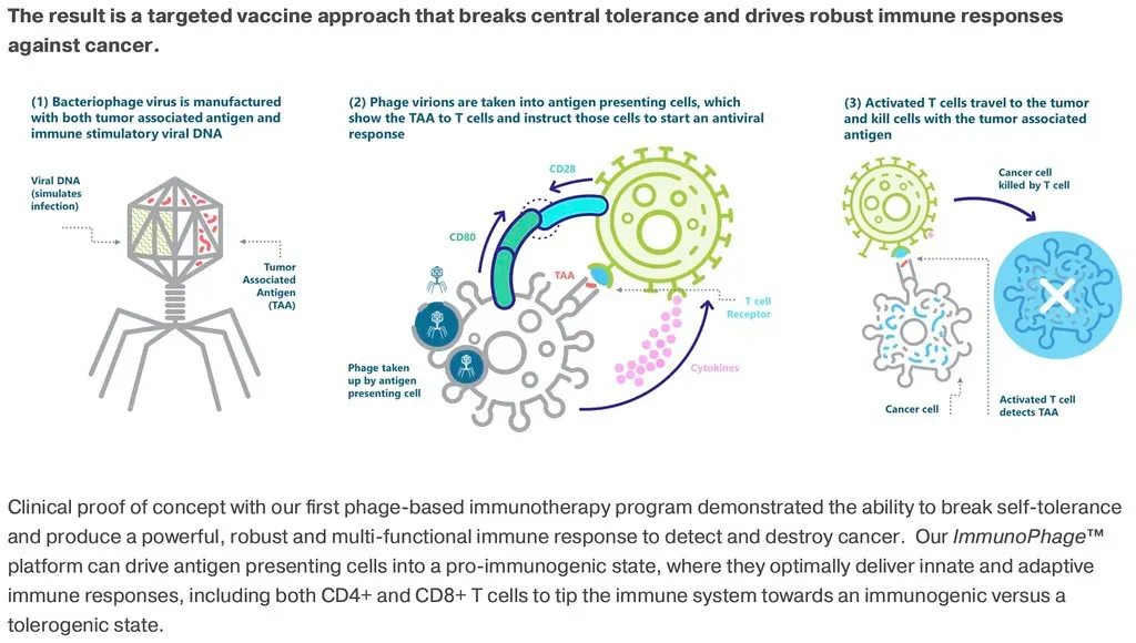 The Adaptive Immune System: Your Body's Genius Memory (jurvetson, Flickr, CC BY 2.0)