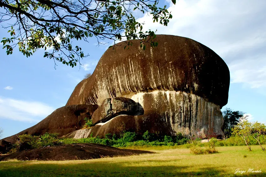 8. Pedra Pintada's Missing Pollen and the Age That Wouldn't Die (carlosmarques3012, Flickr, CC BY-SA 2.0)