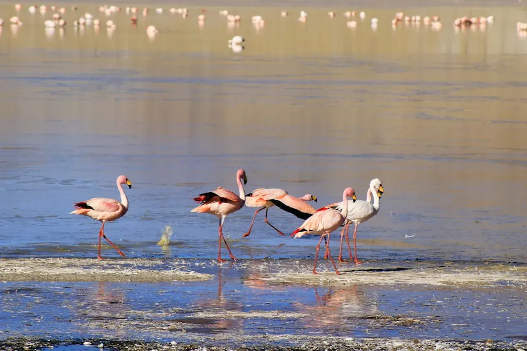 The Lake That Kills and Preserves: Lake Natron, Tanzania (Image Credits: Unsplash)